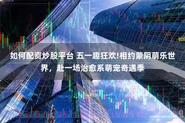 如何配资炒股平台 五一趣狂欢!相约蒙阴萌乐世界，赴一场治愈系萌宠奇遇季