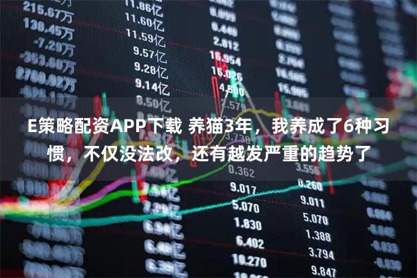 E策略配资APP下载 养猫3年，我养成了6种习惯，不仅没法改，还有越发严重的趋势了